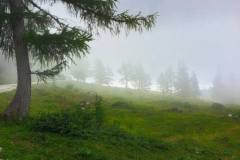 Nebel auf der Tauplitz
