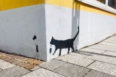 Katz & Maus