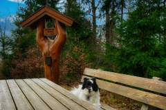 Wandern im Hausruck