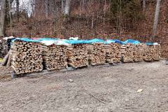 Ohne Umwege - direkt vom Wald in den Ofen