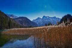 Almsee