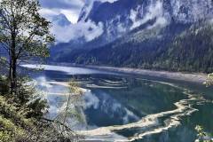 Blütenstaub am Gosausee