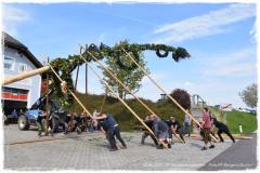 Maibaumaufstellen Bergern am 30.04.22
