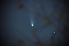 Der grüne Komet Der grüne Komet