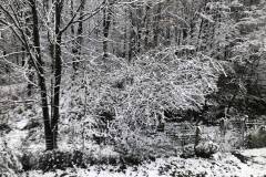 Der erste Schnee in Linz (260 Hm.)