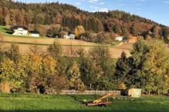 Hühnerstall und Kanone