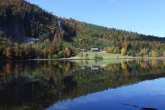 Herbst am Laudachsee