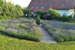 Ottnanger Gartenroas 2020