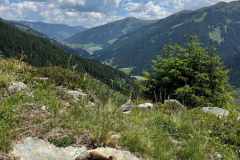 Ein Herz für die Alm