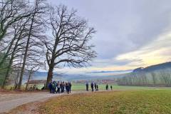 Sammelpunkt Holzham