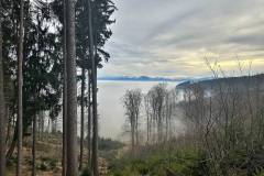 Abstieg - Holzham schon unter Nebel