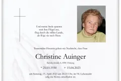 15_4_auinger_christine