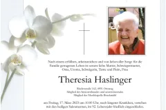 17_3_haslinger_theresia