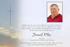 31_3_pilz_josef