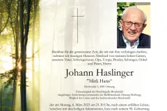 6_3_haslinger_johann