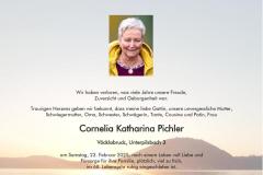 22_2_cornelia_katharina_pichler