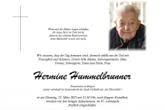 25_3_hummelbrunner_hermine